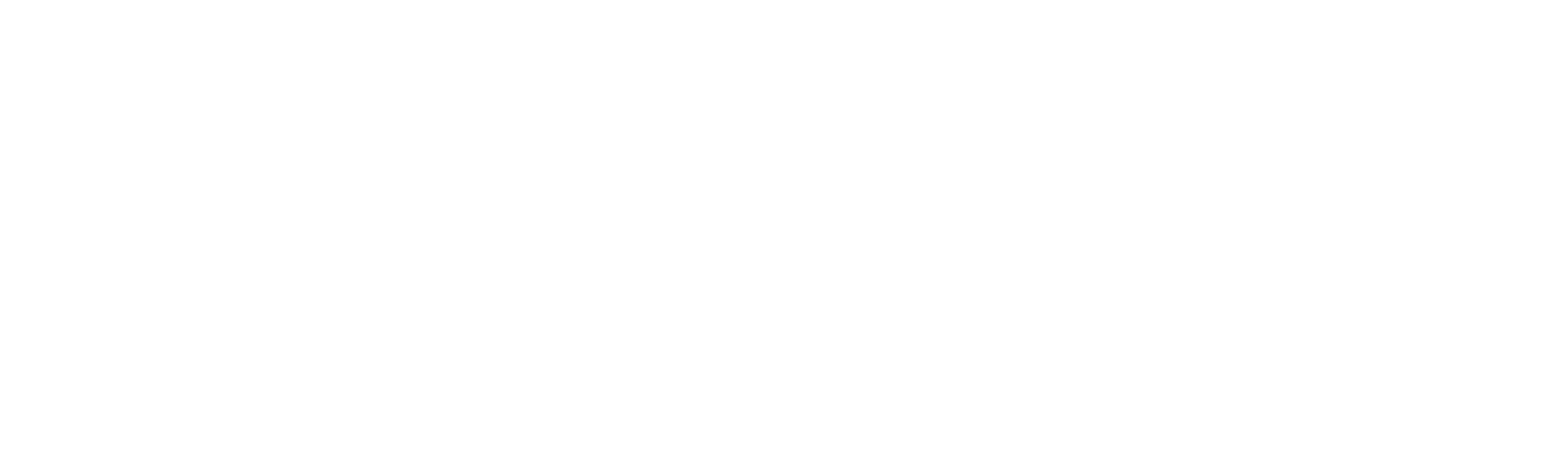 lOGO Projet infographie final-fantasy